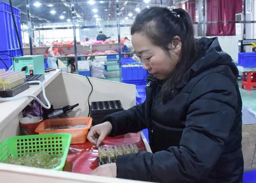 大龍企業(yè) 優(yōu)質(zhì)產(chǎn)品驅(qū)動(dòng)訂單增長(zhǎng)，培訓(xùn)活動(dòng)助力持續(xù)發(fā)展